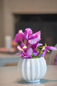 Skandalakis Homes & Apartments - Сталос