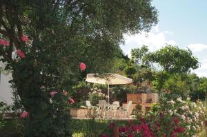 Holiday house in the Kotor Bay