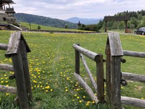 Góralski Domek Milówka