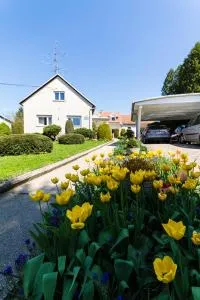 Apartma - Velika Nedelja