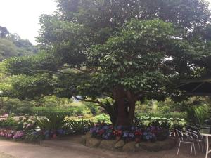 Yu Ho Yuan Lesiure Homestay