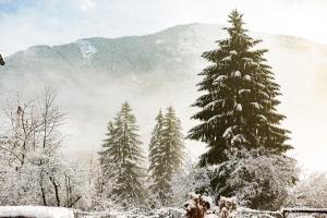 Appartements Riders Apartments : photos des chambres