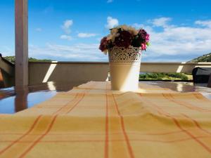 Apartment Pika Smokvina 2a