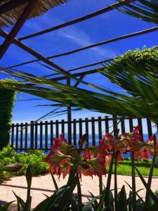 La casa del 600 Holiday House Amalfi Coast