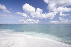 309 Le Saline - Stintino img57