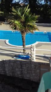 Apartment Leona