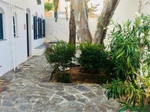 House in Kamares - Sifnos