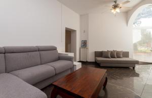 Philosophy Apartment 