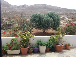 Galini Kasos Greece