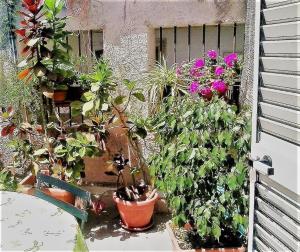 Casa Elena Al Duomo
