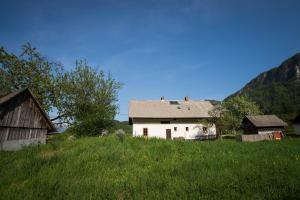 Pr Kovač apartments