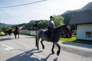Pr Kovač apartments