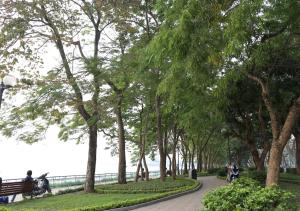 ARL Trúc Bạch No.1