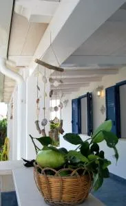 Villa Salina fronte mare - 圣玛丽亚德尔法加洛 Villa Salina fronte mare - 圣玛丽亚德尔法加洛