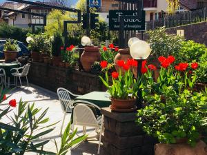 B&B Pizzeria Zur Traube