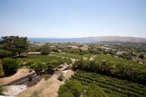 Montofoli Wine Estate Evia Greece