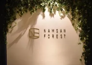 Namsan Forest in Myeongdong - Seul