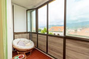 Apartment Vinea