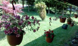 Apartmani Nais Zlatibor