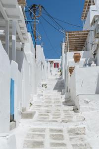 White and Grey Chora Myconos Greece