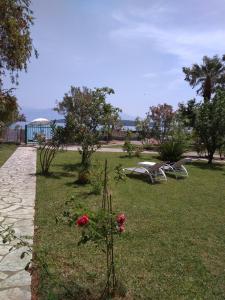 Palmyra Beachfront Studios Lefkada Greece