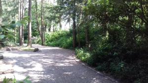 tBakkersboschje nummer 9