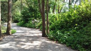 tBakkersboschje nummer 9