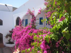 Boutique Hotel Tilos Mare Tílos Greece