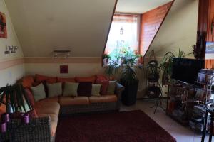 Arany Sziget Apartman