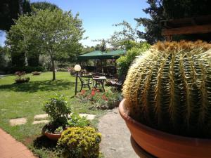 Vacanze Verde Mare - Beggi