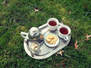 B&B / Chambres d'hotes Le The au Jardin : photos des chambres