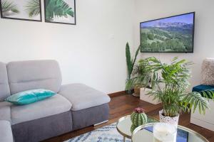Charming apartment near the beach