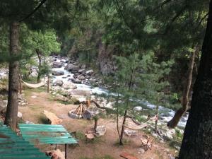 Tirthan Anglers Retreat