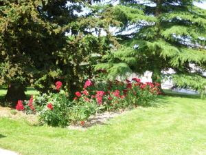 Maisons d'hotes Etape Zen : photos des chambres