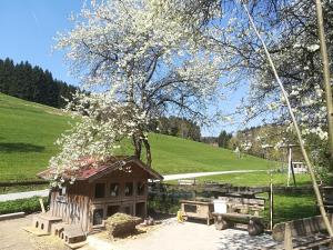 Ferienwohnung Grubinger