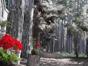 Archontiko Nikolopoulou Arkadia Greece