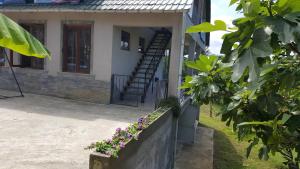 Olgas Home