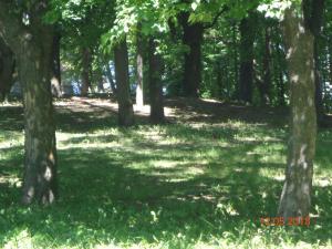 1ком апартаменты,парковка,улХорватская