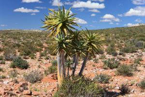 Platbakkies Farm Retreat
