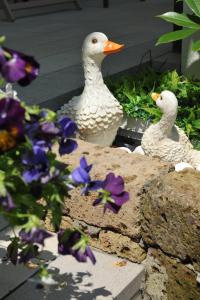 La Casa dei Nonni sul Garda