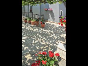 Noras House Thassos Greece