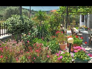 Noras House Thassos Greece