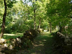 Lodges Coutillard : Chalet