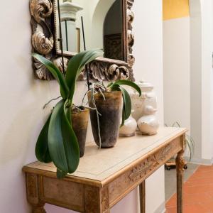 B&B La Zolla