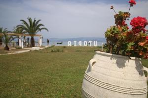 Utopia Kavos Corfu Greece
