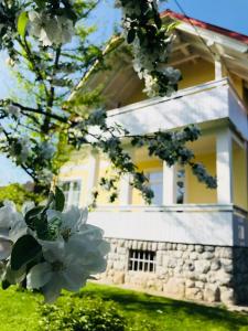 Privatan smeštaj Vila Jago Bled Bled Slovenija