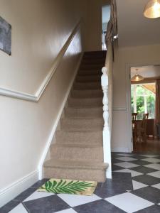 The Puffin Baltimore