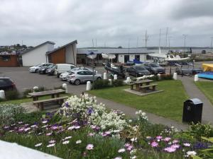 The Puffin Baltimore