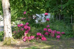 B&B / Chambres d'hotes Maison d'Hotes La Chouanniere : photos des chambres