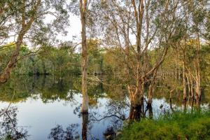 Sanctuary by Sirromet